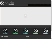 Tablet Screenshot of pandregroup.com